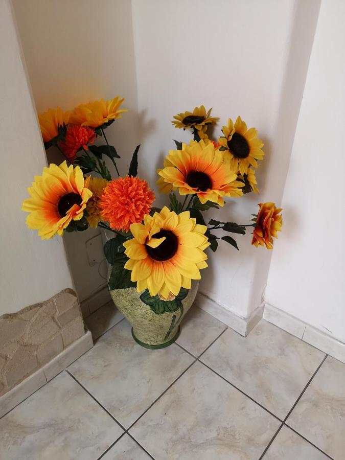 Casa Valeria Bed & Breakfast